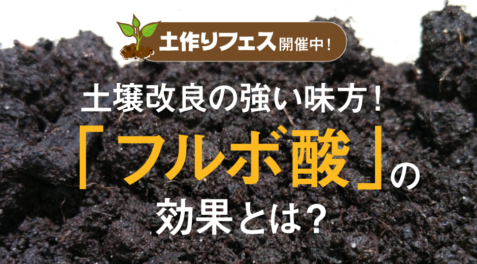 土壌改良の強い味方！ 「フルボ酸」の効果とは？