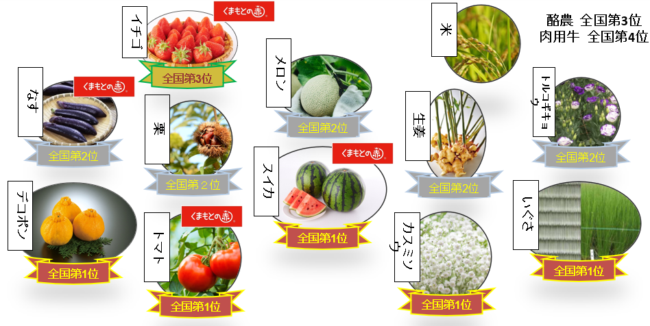 「食のみやこ熊本県」の創造