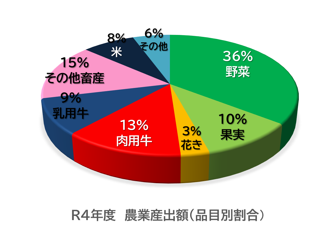 熊本県の農業について