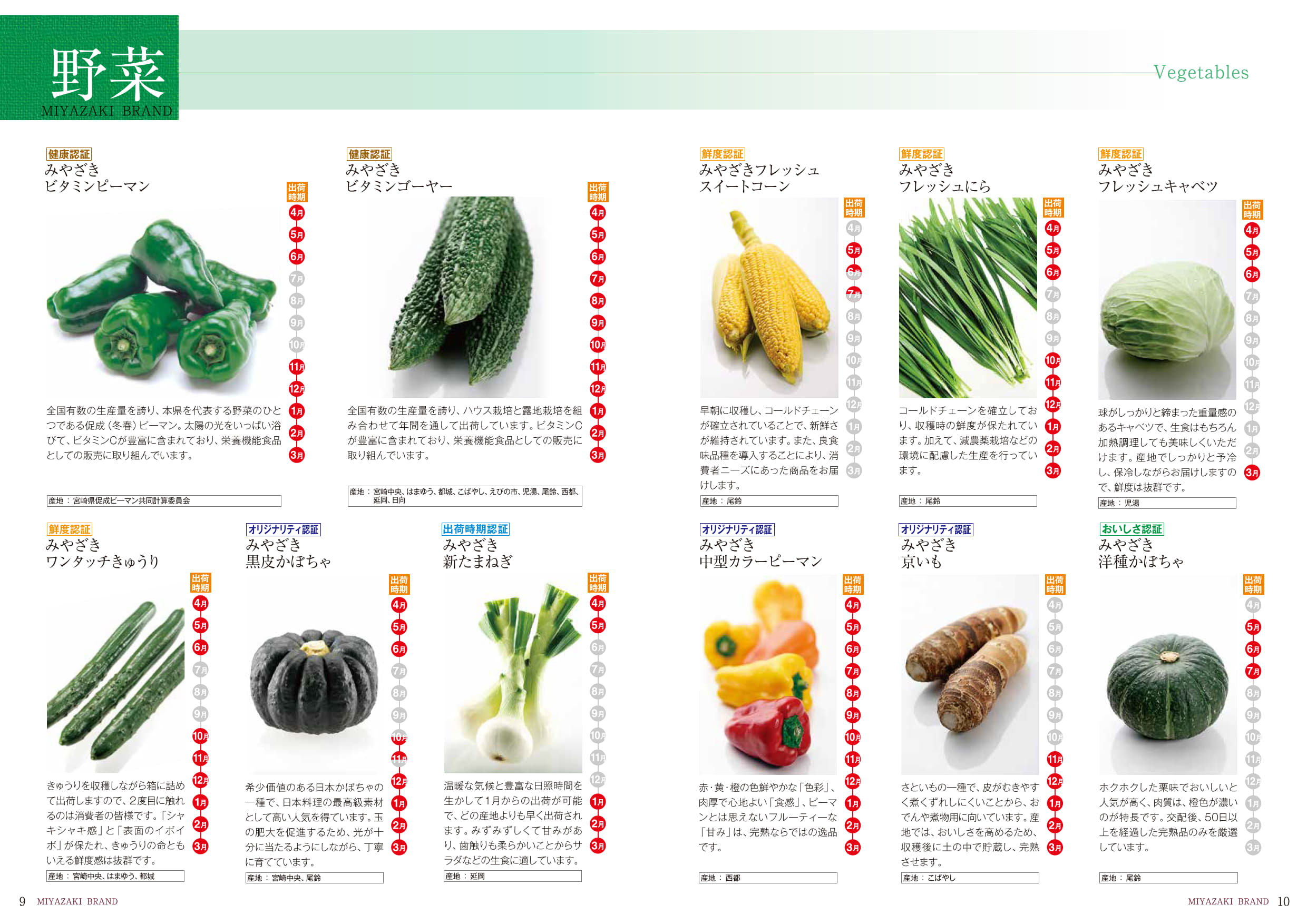 本日のおすすめブースはこちら！宮崎県 ｜AGRI EXPO ONLINE