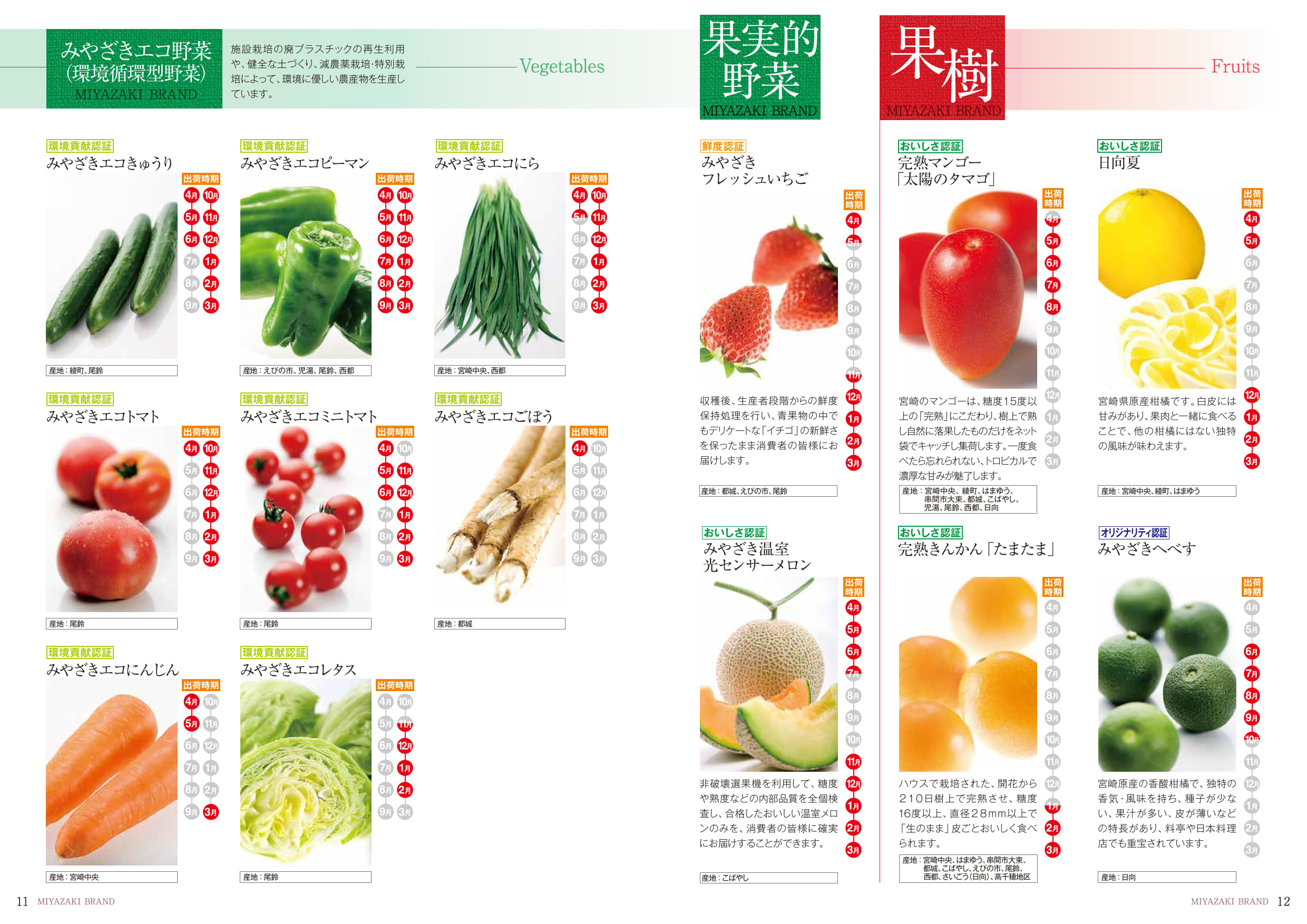 本日のおすすめブースはこちら！宮崎県 ｜AGRI EXPO ONLINE