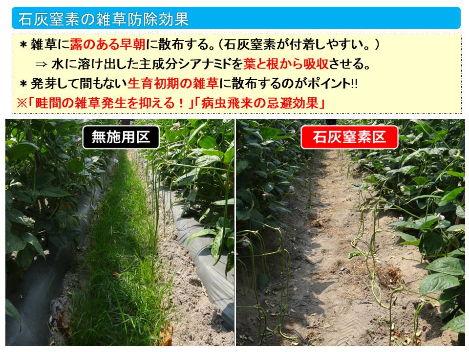 デンカ 石灰窒素 がオススメな理由 人気の農業用石灰窒素