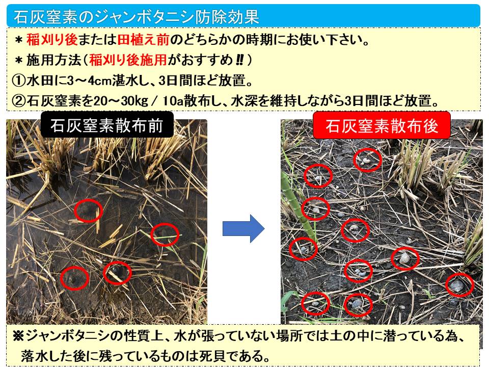 デンカ 石灰窒素 がオススメな理由 人気の農業用石灰窒素