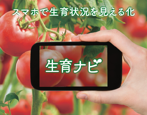 トマト大事典 Amazon.co.jp: トマト大事典 : 農文協編: Japanese Books